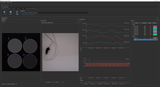 Behavior & Bundle Photometry Console