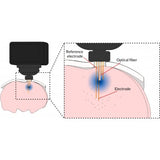 FiWi Optical Cannula